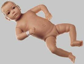 【送料無料】【無料健康相談付】ソムソ社 赤ちゃん模型（女児） ms52 人体模型
