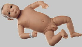 【送料無料】【無料健康相談 対象製品】ソムソ社 赤ちゃん模型（男児） ms53 人体模型