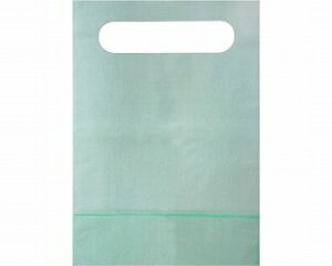 eCRuĝăGv(50) AP10 Ka쏊
