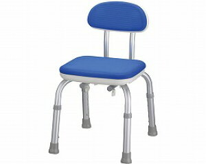 ���w�t�V�����[�x���`Mini �u���[ 536-170 �A��������