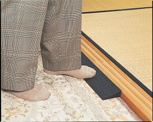 L�[�X���[�v6cm (1�{) TL-060 ���C�N�X21