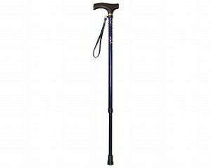 eCRuLkXebL ԕ  EP-03NV Ka쏊