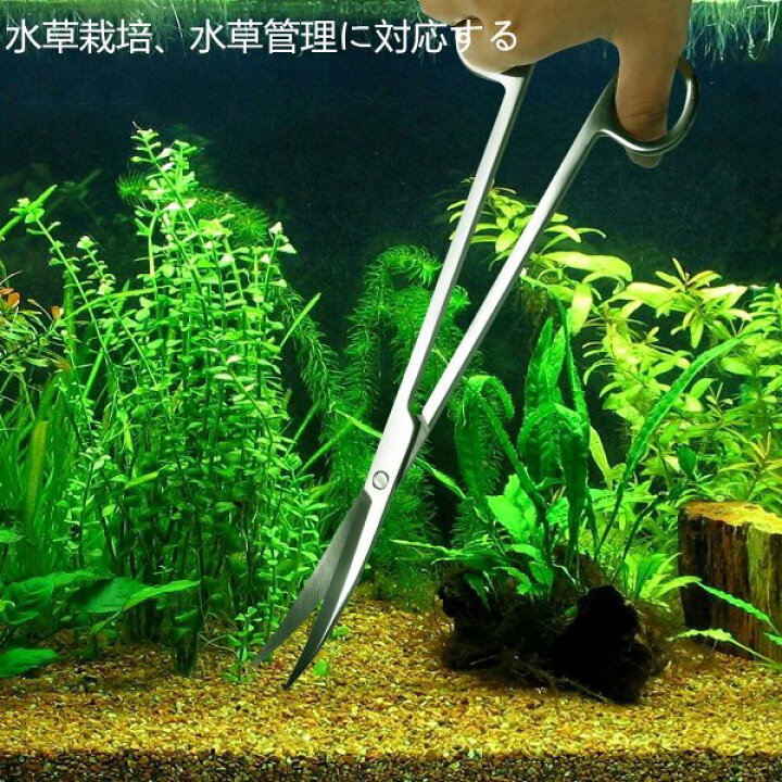 楽天市場】水草トリミング お手入れ 5点セット 専用 ケース付き 