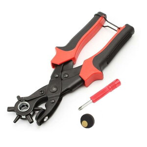 ȉ~ɂΉ xg ]  p` vC[xg|` 6iK_C 3.5m