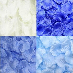 t[V[ Ԃт@ 1200 yu[Of[Vz  2 p[eB[  o