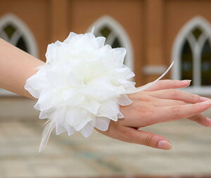 wbh RT[W wAANZT[ EFfBO uC_ p[eB[