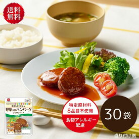 【30袋 送料無料】石井食品 いっしょがいいね 野菜入りハンバーグ ブラウンソース ｜ 食物アレルギー配慮 アレルギー対応 弁当 非常食 常温 長期保存 まとめ買い 大容量 業務用 ハンバーグ