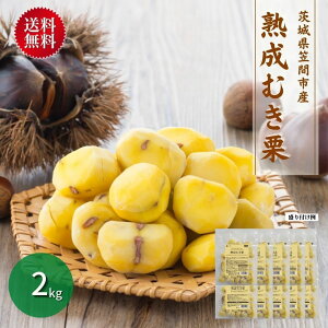 yzyzΈHi }ԎsY nނI600g/1kg/2kgiⓀijb CVC Y aI I nI } XC[c fU[g IƂ Y ΈHi CVCHi