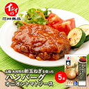 【公式】石井食品 山梨大月市の新玉ねぎを使ったハンバーグ オニオントマトソース5袋（冷蔵品）｜イシイ 山梨県 大月市 玉ねぎ 玉葱 ハンバーグ トマトソース 惣菜 ギフト 贈答 在宅 時短 電子レンジ 無添加調理 石井食品 イシイ食品