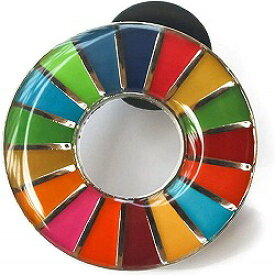 SDGsピンバッジ エスディージーズ 国連正規品 丸み仕上げタイプ 1個 17色 カラーホイール ピンバッジ 高級感 腕章 国連 バッジ デザイン性 オシャレ