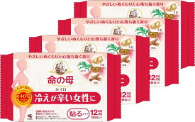 【まとめ買い】 桐灰カイロ 命の母 カイロ 衣類に貼るタイプ ぬくもりとほのかな香りで心落ち着く 10個入×4個