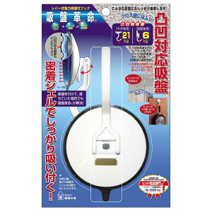 z̗F zՊv tbN ʉΉz WFłzt!  ω׏d21kg(Vgp) 