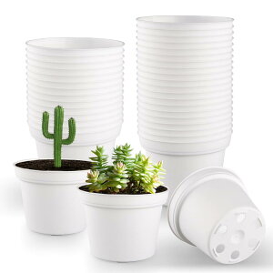 ϗtA c|bg A 2.5 ~jv^[ 60Zbg rt PPvX`bN Aؔ y h }bgdグizCgj