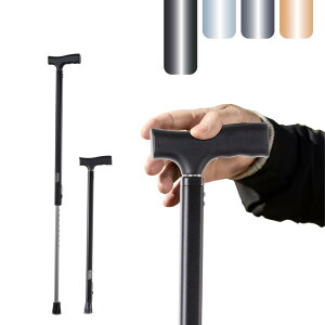 Aelitej킸gs ? yʐLk ? vŎ[\ȕs ? lԍHwɊÂObv ? 10iK̍ ? ҂ls (ubN)