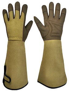 gwooyi K[fO[u |p oO[u oܒ K[fjO ϐh gQh~ hȂ O v Ɨp |pi K[fjOpi