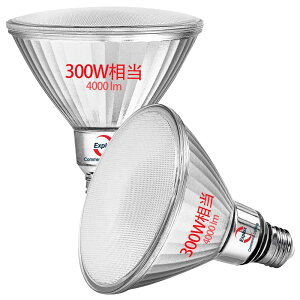 Explux LEDnCr[d 300W Px4000lm E26 F KX{fBOhh Ή PAR38(121mma)r[v 2