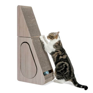 PAWZ Roady݌Ɉ|z L ܌ i{[ c^ ܂肽 ܌_{[ ^L LXNb` \ ό`\ ȃXy[X ^sP KKEH[ x - 71cm