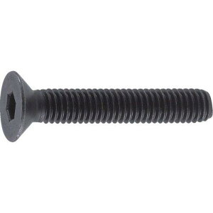 TRUSCO(トラスコ) 六角穴付皿ボルト 黒染め 全ネジ M6×12 55本入 B73-0612