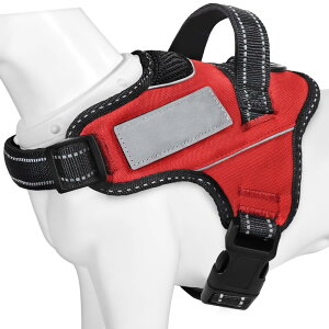 y{挢n[lXzBaoCheng p ^/^/^n[lX ΍ AɗD ȐF ʋC SȂ l[v[g 7FI(bhAS)