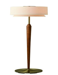 C^[tH tACg X^hCg LT-3973 X@e Mt k i`