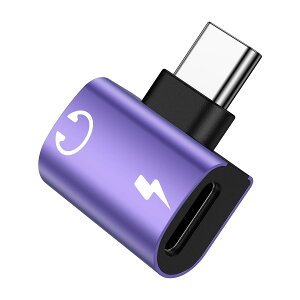 Type C to Type C �C���z���ϊ� �A�_�v�^�[ 2in1 �^�C�vC �C���z���W���b�N DAC���� Hi-Fi���� PD 60W �}���[�d �����g�p�\ ���ʒ��� �����ʘb i Phone17/16/15/iPad/Android/Type C�Ή�
