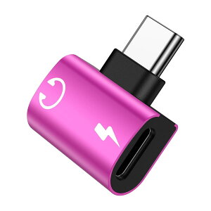 Type C to Type C �C���z���ϊ� �A�_�v�^�[ 2in1 �^�C�vC �C���z���W���b�N DAC���� Hi-Fi���� PD 60W �}���[�d �����g�p�\ ���ʒ��� �����ʘb i Phone17/16/15/iPad/Android/Type C�Ή�