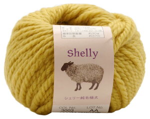 A XL[ ҂ݖю VF[ыɑ(10ʃZbg) Col.3003