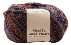 A(Motohiro) XL[ ҂ݖю VF[E[vg (5ʃZbg) Col.4013