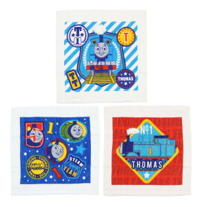  ڂ^I 3g P[Xt 񂵂g[}X 30×30cm WCtg[}X RۖhLH wObY w ۈ牀 ct wZ j̎q 4625000500