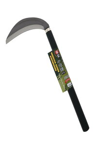 V(Takagi) e N}b NX  Аn 180mm { nT[rXt KтȂ  芙   łp