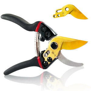 MAIYADUO ΂ oT~  }؃oT~ | SK-5X`[n ݂؂ꖡ ₷ Kтɂ bN[ K[fjO v ؙp }؂ ~ ϗtAi΂