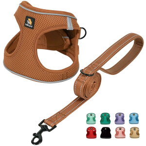 BELLA  PAL p n[lX [h Zbg ^ ^ Lpn[lX  h~ TCY\ Ԕ EȒP Up ϋv ʋC \tg bV (S uE)