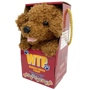 yBESTEVERz drœʂ   }l EH[LOg[LOps[ v[h X}C Poodle Smiling 49080