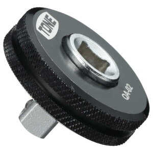 gl(TONE) NCbNA_v^[ HPQA-02 p6.35mm(1/4h) ubN