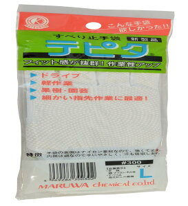 ۘaP~J yƗp ɔ ׂ~ߕt es^ LTCY  1o #300