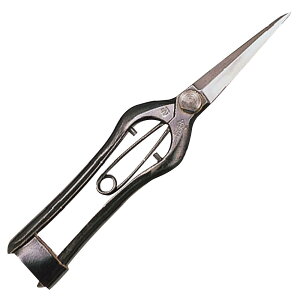 L{V(Kinboshi) ^ n200~B.P 2502