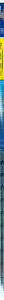 eg (Tetra) eg cCugtB^[ X|WtB^[ tɂ₳ _f GA[|v