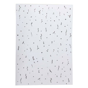 qTS VV[EWvg[ A4(210X297mm) V B B GB5000 10V[g