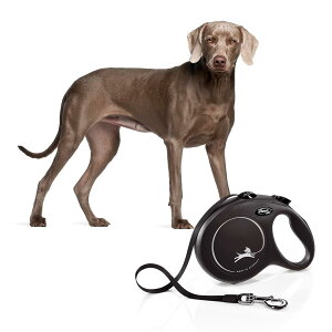 tLV (flexi) j[NVbN e[v L(50kg) 5m ubN p[h