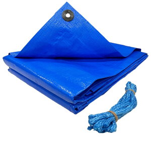 ^JCN #3000 u[V[g 2.7m×3.6m BLS-05 h Ԍ W[V[g h JV[g