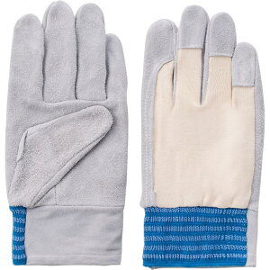 xmO[u #12 L 1201 v(Ȃ^Cv)