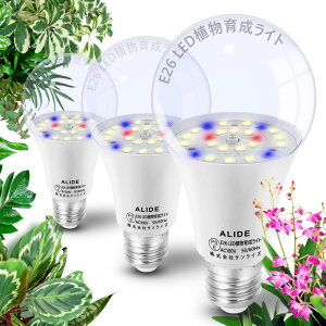 3 A琬LEDCg VLEDtXyNg ApledCg E26 ʓd ȃGl PSEF؍ς A琬Cg led(Fn 5000K 3)