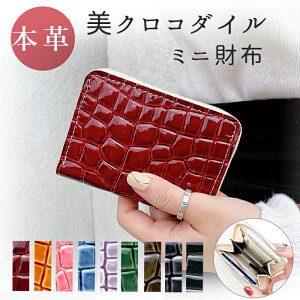 ~jz {v NR_C ^ K RpNg ~jEHbg v U[ RCP[X t@Xi[t  Gi j J[h  TCt z Eh