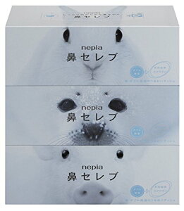 lsA @Zu eBV 400(200g)×3pbN 