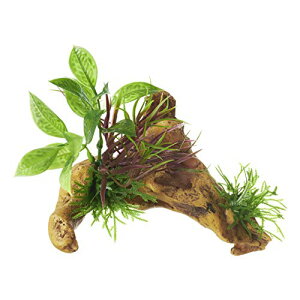 GEX WFbNX i t j[h pI[ig AȌڂ̐lH 