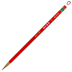  M TѕM 4 𕝗p A051165 