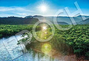 G|bN 300s[X WO\[pY {i EY \[{] (26×38cm) 26-361s ̂t wt _ 