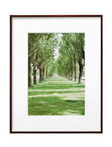 nNo HAKUBA y z ZEROt[ G-01 A4 uE FZG01-A4BR 