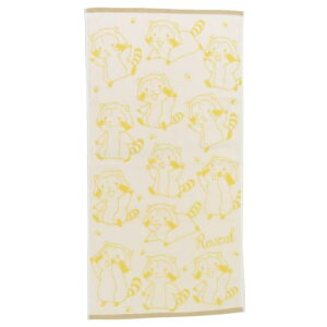 (Hayashi) oX^I 60×120cm XJ nbs[XJ BO426500 