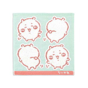 (Chiikawa) CG[ ^InJ` O[  K[[pC 41-1230080 25×25cm 